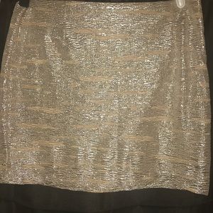 Potter’s Pot Sparkling Mini Skirt